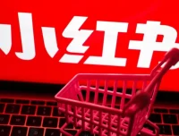 小红书电商实战保姆级教程：从小白到精英的进阶指南