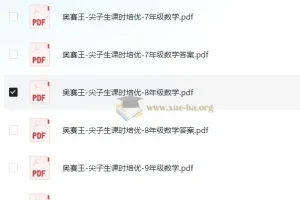 奥赛王《尖子生课时培优（7 – 9年级数学）》