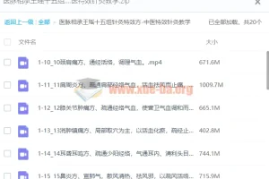 医脉相承：王瑶十五组针灸特效方中医特效针灸教学课程