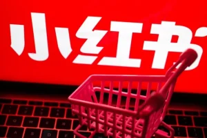 小红书电商实战保姆级教程：从小白到精英的进阶指南