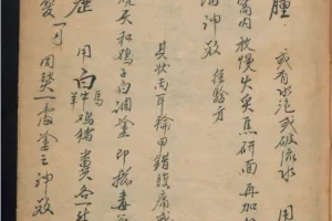 德国某大学收藏的稀缺中医古籍 [PDF]