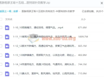 医脉相承：王瑶十五组针灸特效方中医特效针灸教学课程