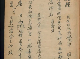 德国某大学收藏的稀缺中医古籍 [PDF]