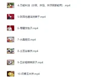 品诺王老师20套家庭面食面点私房视频课程