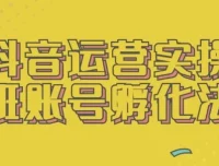 抖音运营实操班：账号孵化法课程