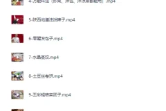 品诺王老师20套家庭面食面点私房视频课程