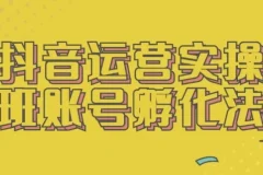 抖音运营实操班：账号孵化法课程