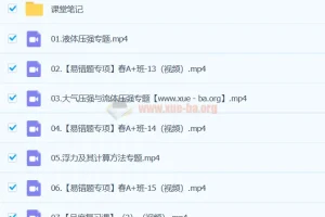 付雷物理 2024初二物理 A+ 寒春课程