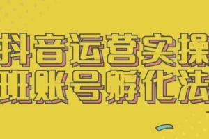 抖音运营实操班：账号孵化法课程