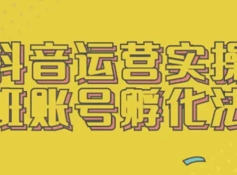 抖音运营实操班：账号孵化法课程