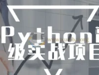 Python高级实战项目进阶完整版