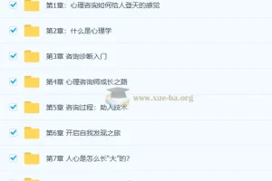 零基础入门心理咨询师：60堂启蒙课