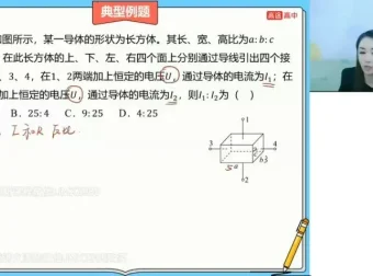 谢丽荣2024高二物理暑假班：电路、磁场、动量精讲