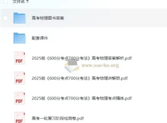 理想树《600分考点700分考法·高考物理 (2025版) 》