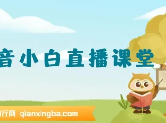 抖音小白直播课堂：无需出镜，在家轻松实操直播项目