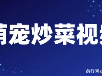 利用AI制作萌宠炒菜爆款视频项目介绍