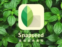 Snapseed从入门到精通：Google专业手机修图课程，速成修图高手