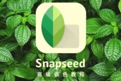 Snapseed从入门到精通：Google专业手机修图课程，速成修图高手