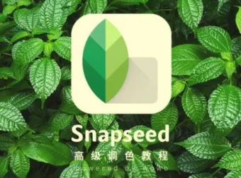 Snapseed从入门到精通：Google专业手机修图课程，速成修图高手