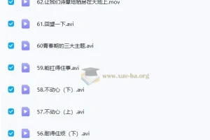 李波老师：李波家庭教育实战+走心家族课程