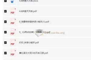 【幼小衔接】拼音启蒙篇：趣味教学与丰富练习