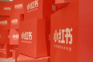 小红书电商实操课：0基础小白轻松掌握平台玩法与运营规则