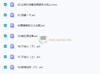 李波老师：李波家庭教育实战+走心家族课程