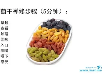 掌握情绪管理：视频与课件全攻略