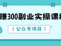 日赚300公众号副业实操课程