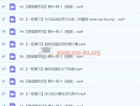 谭清军 2024初中初三物理春季班上课程