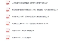 《大佬文集圈 学习先锋 2025年12月9日付费文章合集 [PDF]》