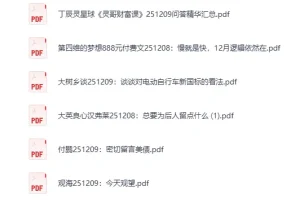 《大佬文集圈 学习先锋 2025年12月9日付费文章合集 [PDF]》