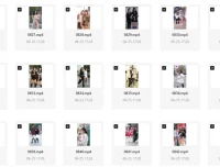 美女街头随拍视频素材集合