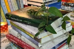 100本精选生活实用图书合集：涵盖多领域，助力技能与生活品质提升