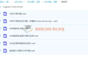 2024谢丽荣高中物理高二寒假班课程