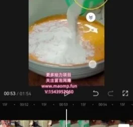 拼多多视频3.0爆款带货秘籍：实现高收入目标的实用指南