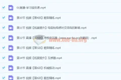 宋雨晴2024高二物理A+寒假班课程