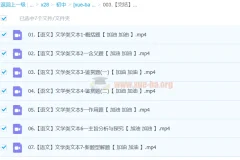 2024中考语文文学类文本一本通（完结）