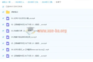 2024初三中考化学杨雯智S秋季班（下）