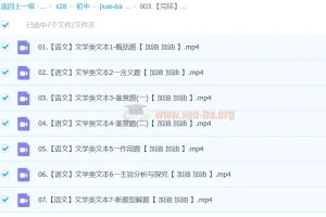 2024中考语文文学类文本一本通（完结）