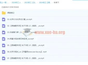 2024初三中考化学杨雯智S秋季班（下）