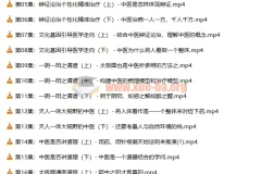 【潘毅】闻道中医—推天道以明医事课程（35集）