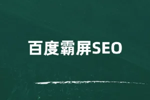 覃加波百度霸屏SEO课程