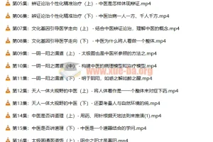 【潘毅】闻道中医—推天道以明医事课程（35集）