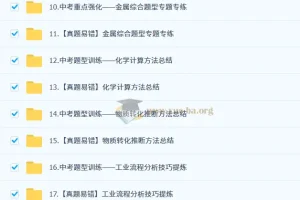 陈潭飞 2025 初三化学中考培训班（春下·全国版·A+）