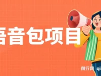 超火骚气语音包项目课程：小白实操指南