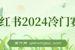 小红书2024冷门赛道：月入3万+暴力变现4.0纯小白项目