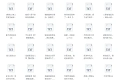 书旗会员小说完结榜：500本精校TXT热门小说推荐