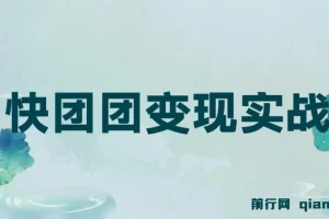 快团团变现实战营：千万级流水团长带你玩转快团团