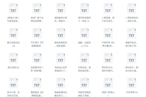 书旗会员小说完结榜：500本精校TXT热门小说推荐